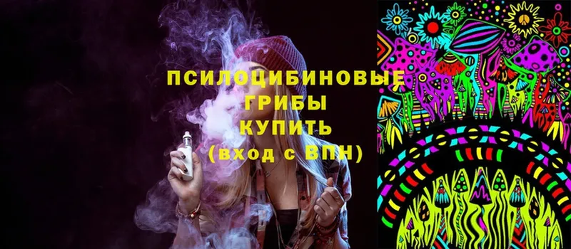 закладка  Егорьевск  Псилоцибиновые грибы Psilocybine cubensis 